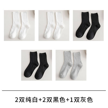 Set of 5 Pairs: Plain Mid SpreePicky