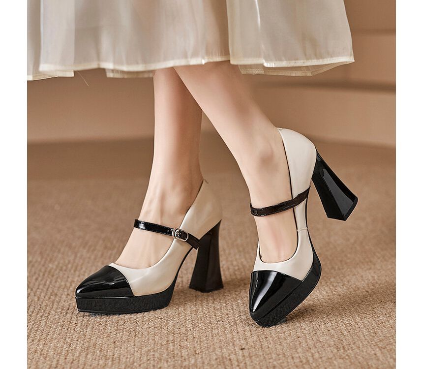 High Heel Pointy Mary Jane Pumps SpreePicky