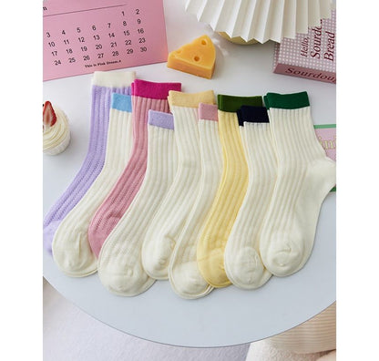 Contrast Trim Pointelle Knit Socks / Set SpreePicky