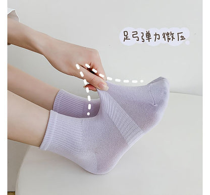 Set of 3 Pairs: Plain Ribbed Socks SpreePicky