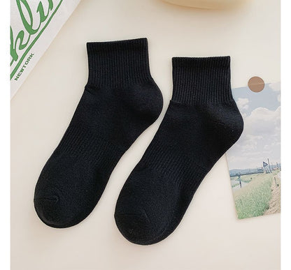 Set of 3 Pairs: Plain Ribbed Socks SpreePicky