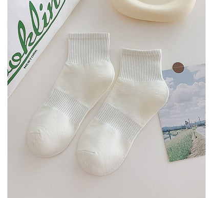 Set of 3 Pairs: Plain Ribbed Socks SpreePicky