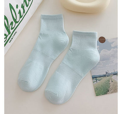 Set of 3 Pairs: Plain Ribbed Socks SpreePicky