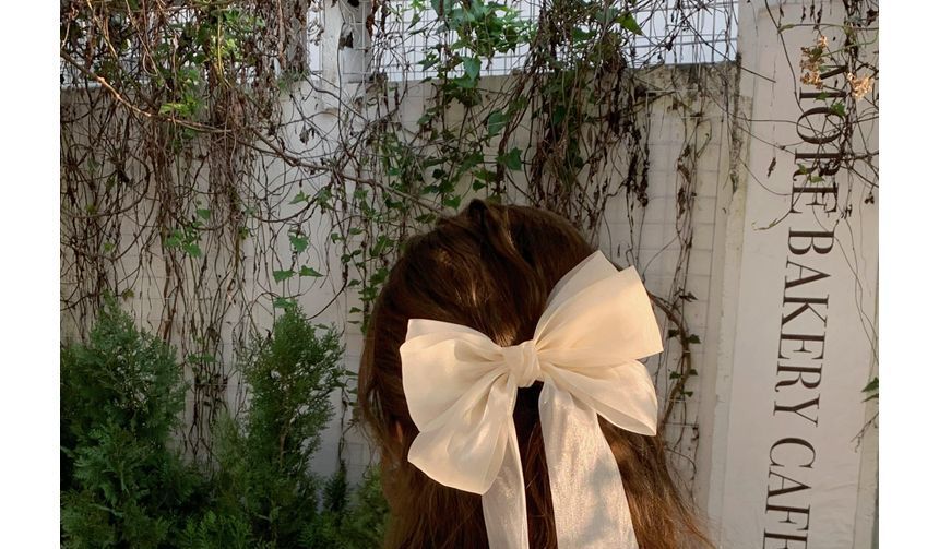 Plain Bow Mesh Hair Clip SpreePicky