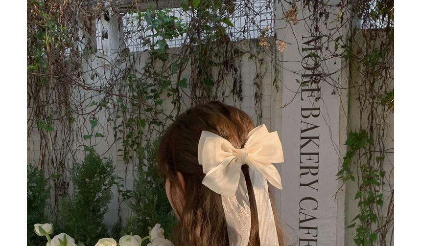 Plain Bow Mesh Hair Clip SpreePicky