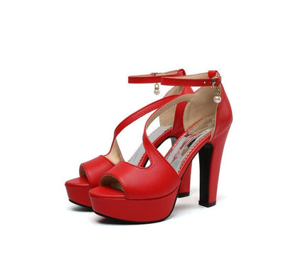 Ankle Strap Platform Chunky Heel Sandals SpreePicky