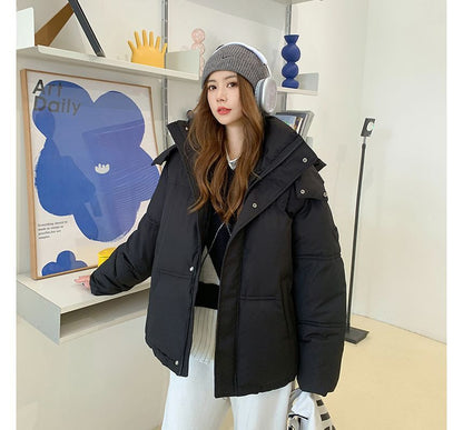 Hooded Plain Puffer Jacket SpreePicky