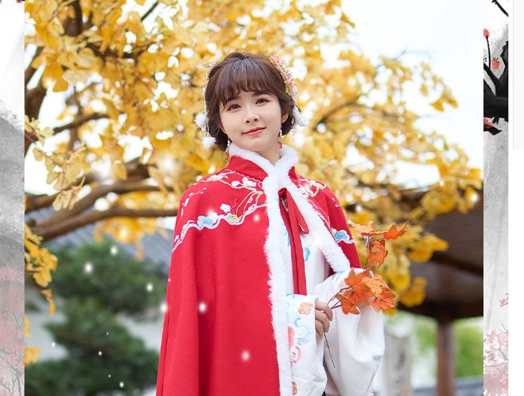 Stand Collar Floral Embroidered Fluffy Trim Tie Front Hanfu Cape SpreePicky