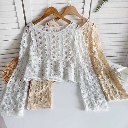 Long-Sleeve Crew Neck Crochet Lace Top mySite