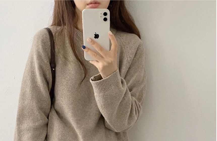 Crew Neck Plain Sweater SpreePicky