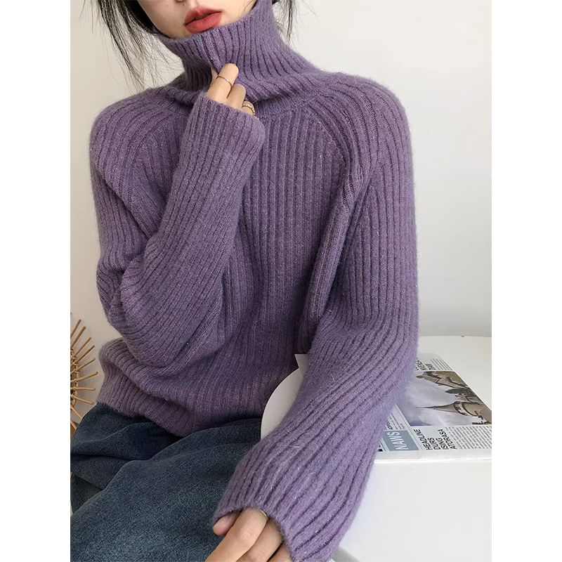 Turtleneck Plain Ribbed Sweater SpreePicky