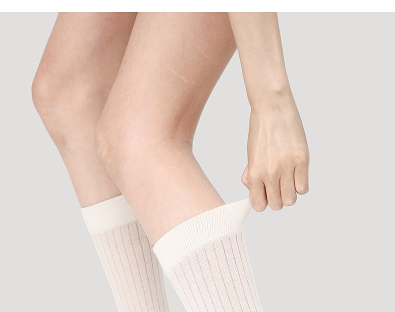 Plain Mid-Calf Socks SpreePicky