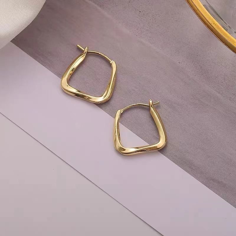 Metal Hoop Earring SpreePicky