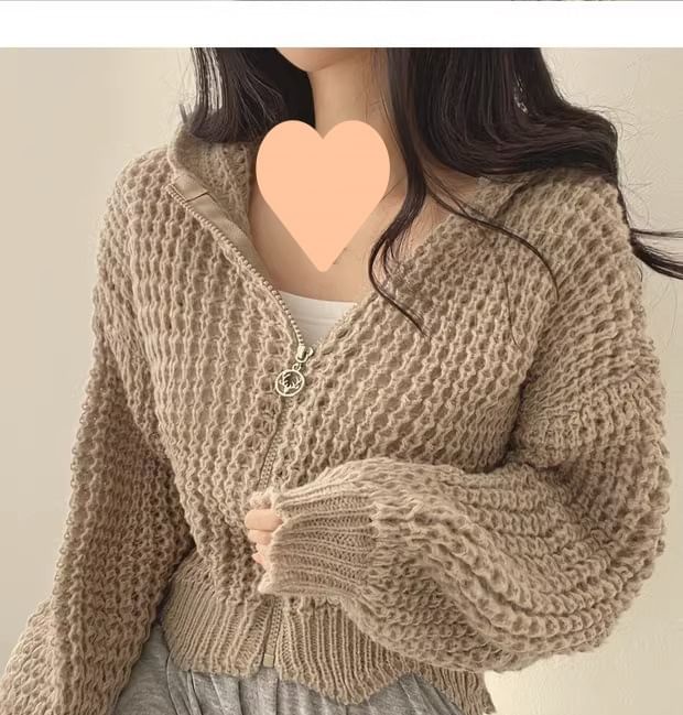 Crochet-Knit Hooded Zipper Cardigan SpreePicky