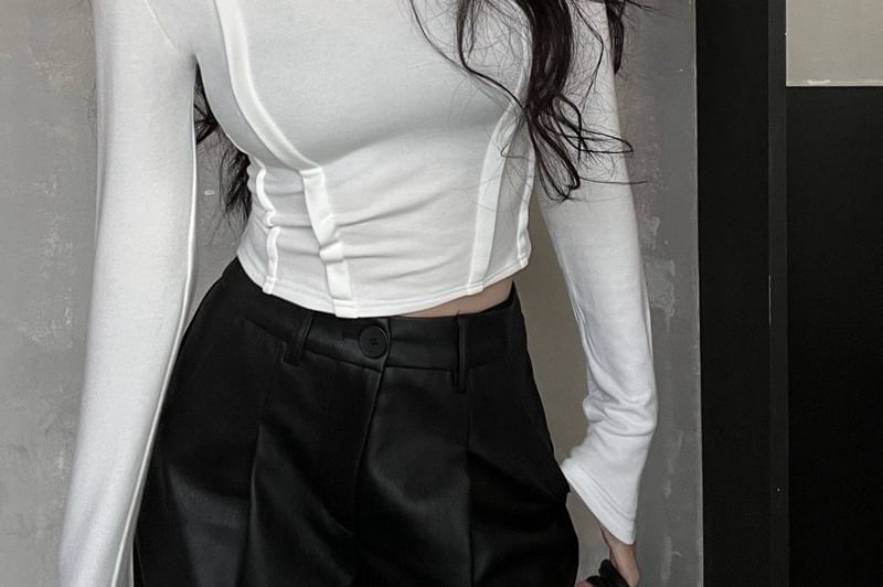 Long Sleeve Turtleneck Plain Crop Top SpreePicky