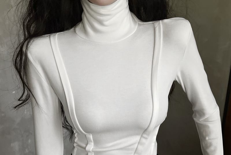 Long Sleeve Turtleneck Plain Crop Top SpreePicky