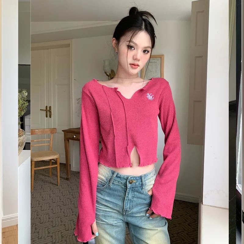 Long-Sleeve V-Neck Embroidered Crop Knit Top SpreePicky