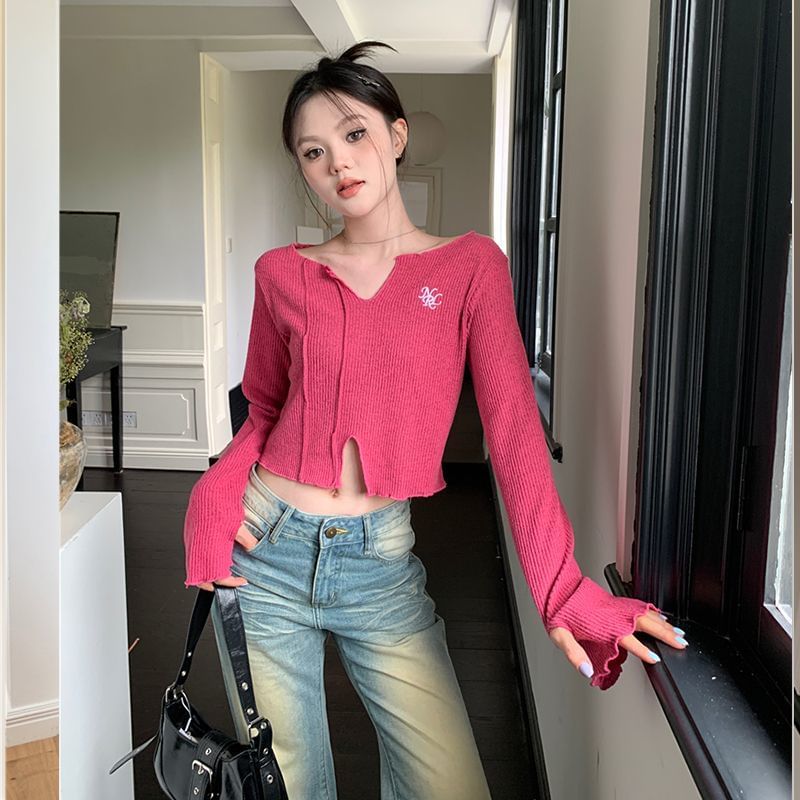 Long-Sleeve V-Neck Embroidered Crop Knit Top SpreePicky