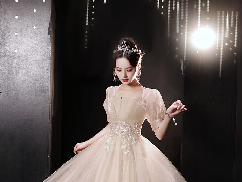 (Various Designs) Evening Tulle Sequin Short-Sleeve A-Line Gown FashionChic
