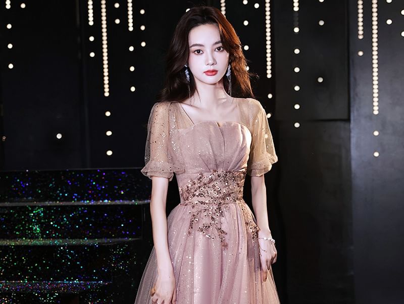 (Various Designs) Evening Tulle Sequin Short-Sleeve A-Line Gown FashionChic