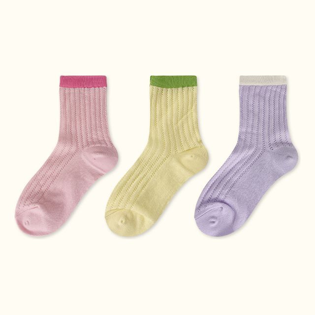 Contrast Trim Pointelle Knit Socks / Set SpreePicky