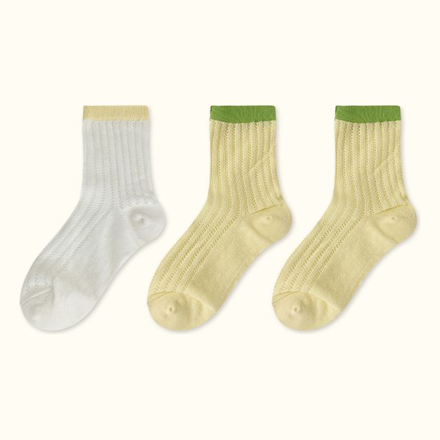 Contrast Trim Pointelle Knit Socks / Set SpreePicky