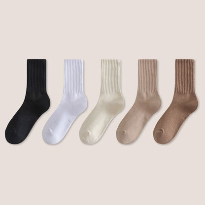 Set of 5: Plain Ribbed Socks SpreePicky