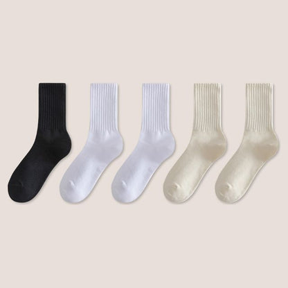 Set of 5: Plain Ribbed Socks SpreePicky