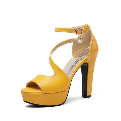 Ankle Strap Platform Chunky Heel Sandals SpreePicky