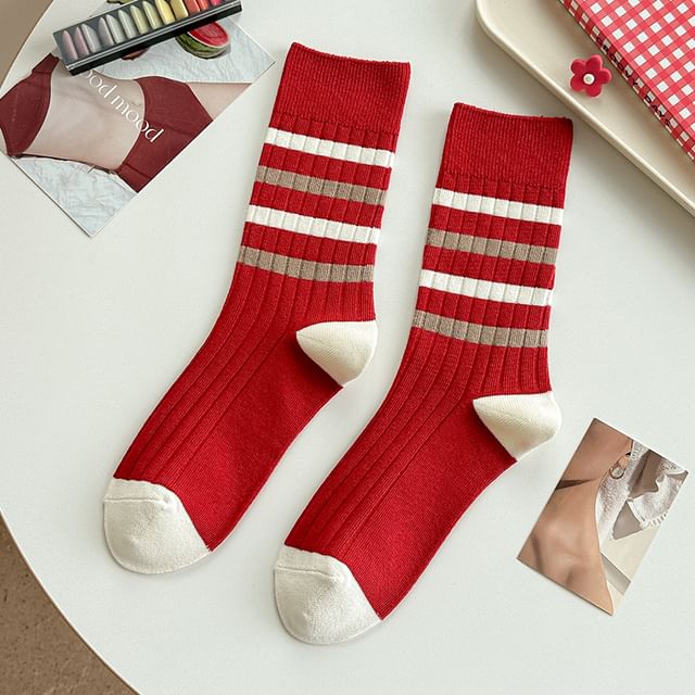 Striped Socks / Letter Embroidered Socks / Set SpreePicky