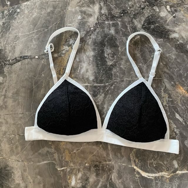 Lace Wireless Bra SpreePicky