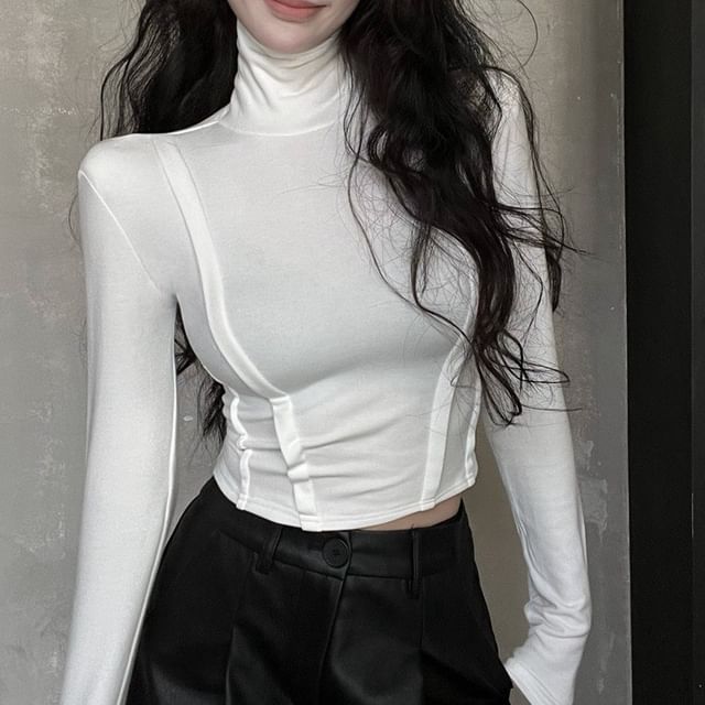 Long Sleeve Turtleneck Plain Crop Top SpreePicky