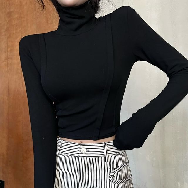 Long Sleeve Turtleneck Plain Crop Top SpreePicky