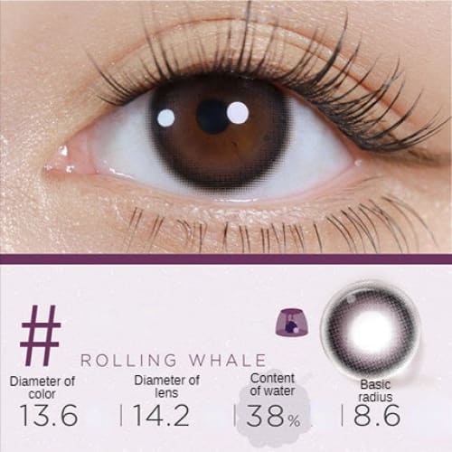 Black Angle Fondant Contact Lenses Half Year One Pair ME34 - Egirldoll