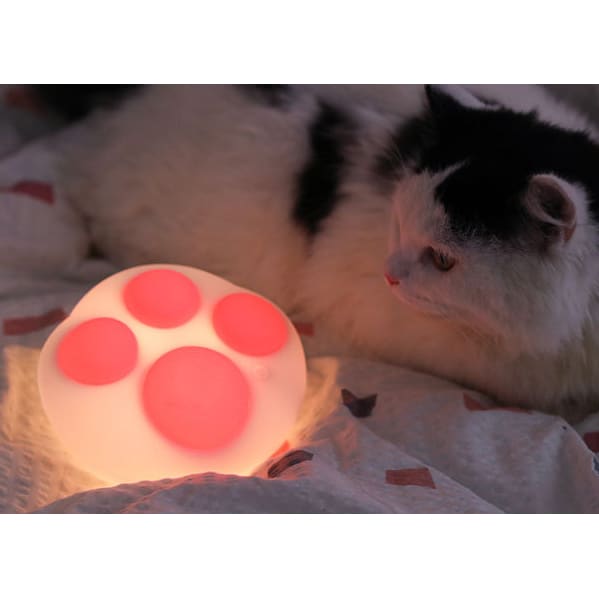 Cute Kitty Pink Beans Kawaii Soft Light SS1690 - Egirldoll