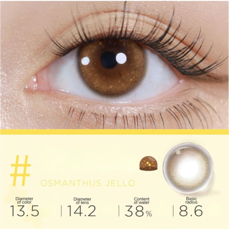 Iced Cocoa Contact Lenses Half Year One Pair ME45 - Egirldoll