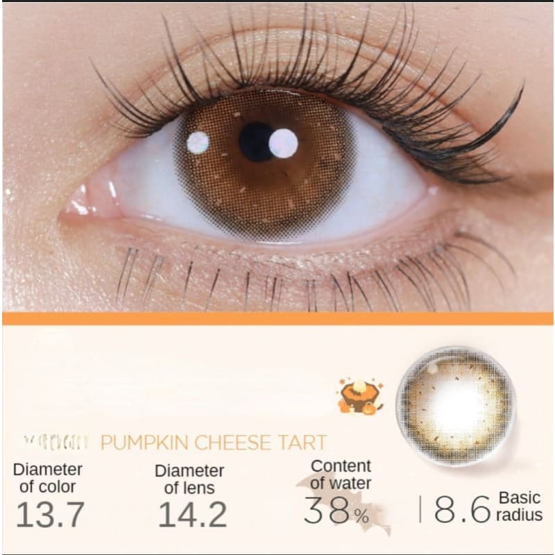 Pumpkin Cheese Tart Contact Lenses Half Year One Pair ME38 - Egirldoll